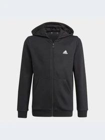Худи и свитшоты Adidas модель GN4020 Фото