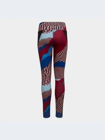 Брюки Adidas модель HA0990 Фото