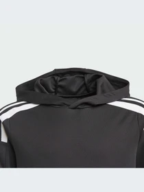Худи и свитшоты Adidas модель GK9544 Фото