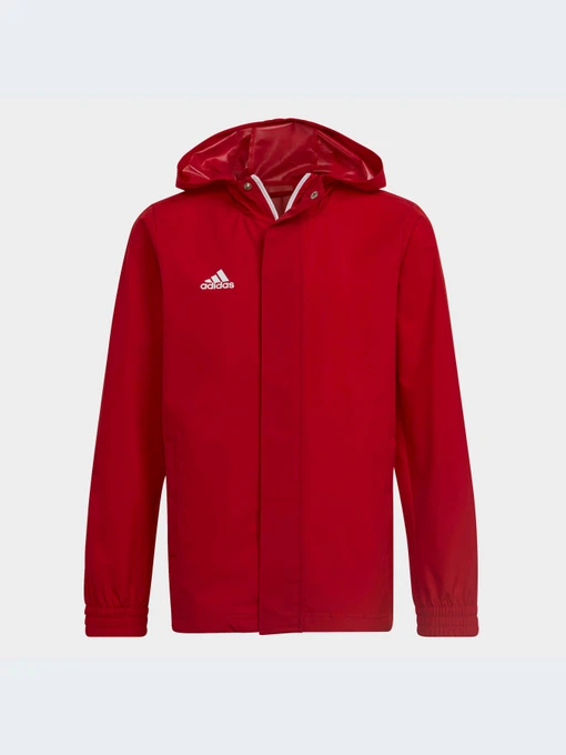 Куртки та дублянки Adidas модель HG6300 Фото