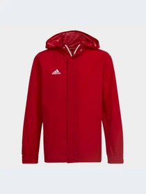 Куртки и дубленки Adidas модель HG6300 Фото