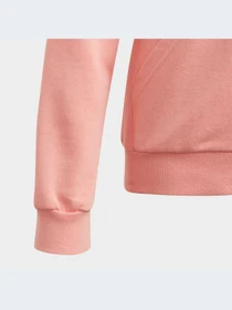 Худи и свитшоты Adidas модель GD6354 Фото