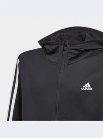 Худи и свитшоты Adidas модель GN1500 Фото
