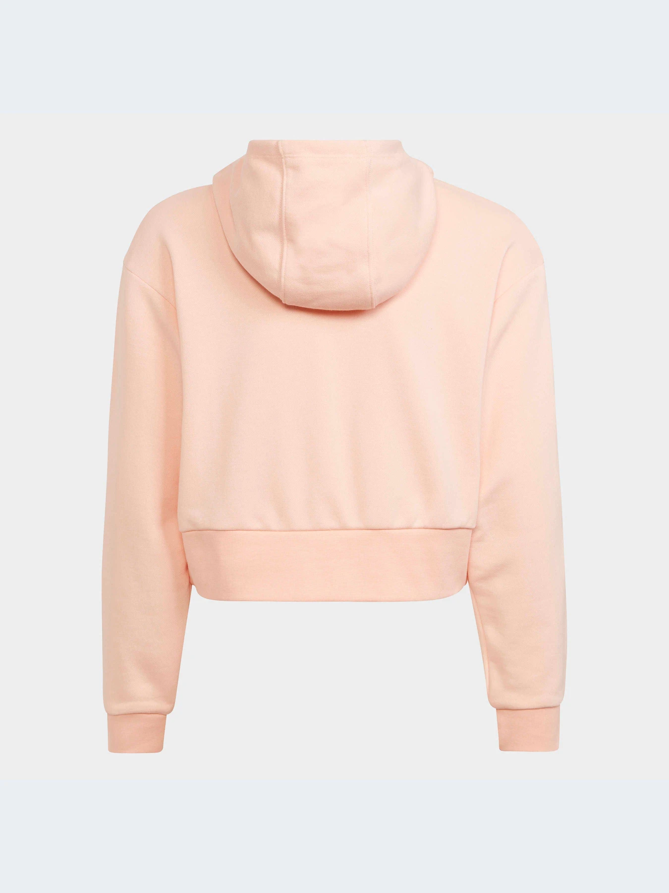 Худи и свитшоты Adidas модель H32339 Худи и свитшоты Adidas модель H32339 Фото