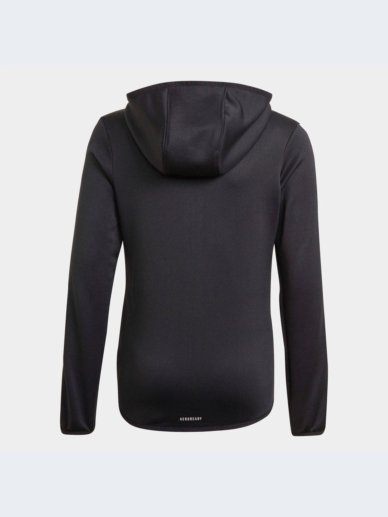 Худі та світшоти Adidas Clima модель GN1462 Фото