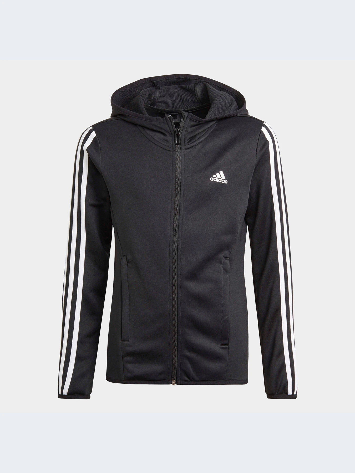Худі та світшоти Adidas Clima модель GN1462 Фото