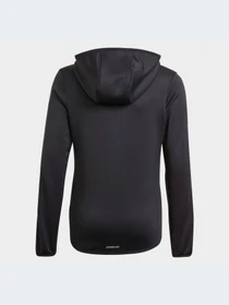 Худі та світшоти Adidas Clima модель GN1462 Фото