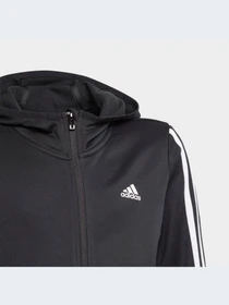 Худі та світшоти Adidas Clima модель GN1462 Фото