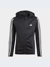 Худі та світшоти Adidas Clima модель GN1462 Фото