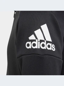 Худи и свитшоты Adidas модель FM5814 Фото