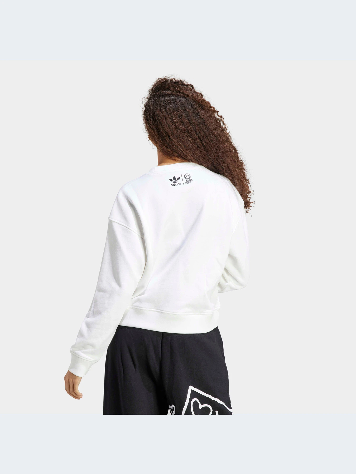 Худі та світшоти Adidas Graphics модель HY4268 Фото