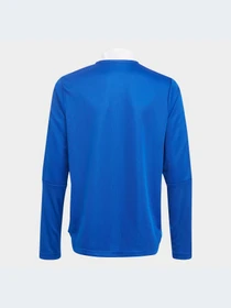 Худи и свитшоты Adidas Tiro модель GM7322 Фото