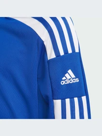 Худи и свитшоты Adidas модель GP6469 Фото