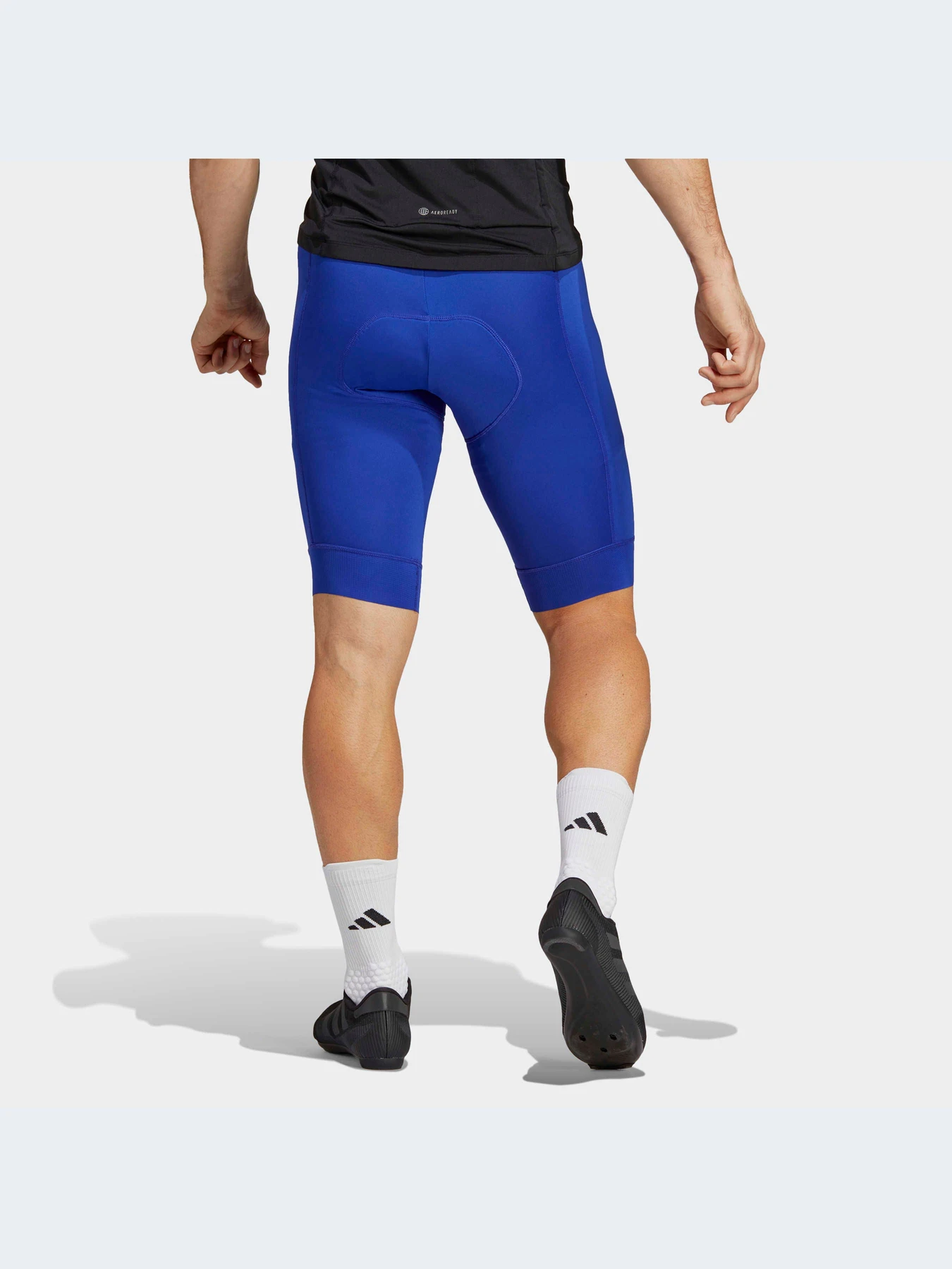 Шорти Adidas модель IC5068 Фото
