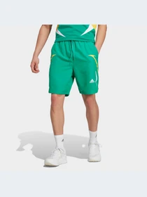 Шорты Adidas модель IC3692 Фото