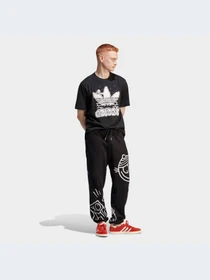 Футболки і поло Adidas Graphics модель IC5737 Фото
