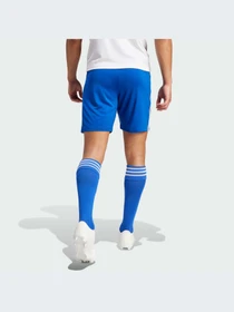 Шорты Adidas модель GK9153 Фото