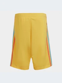 Шорты Adidas модель IB8620 Фото