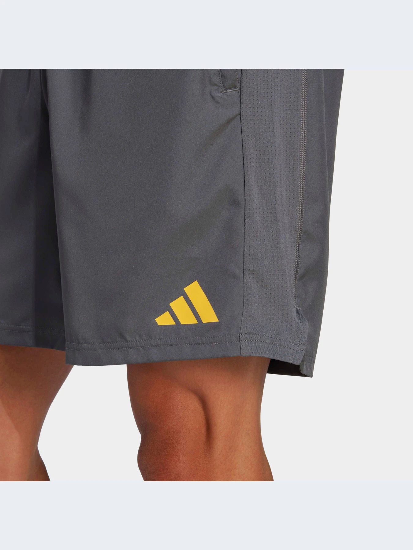 Шорти Adidas Clima модель IB8178 Фото