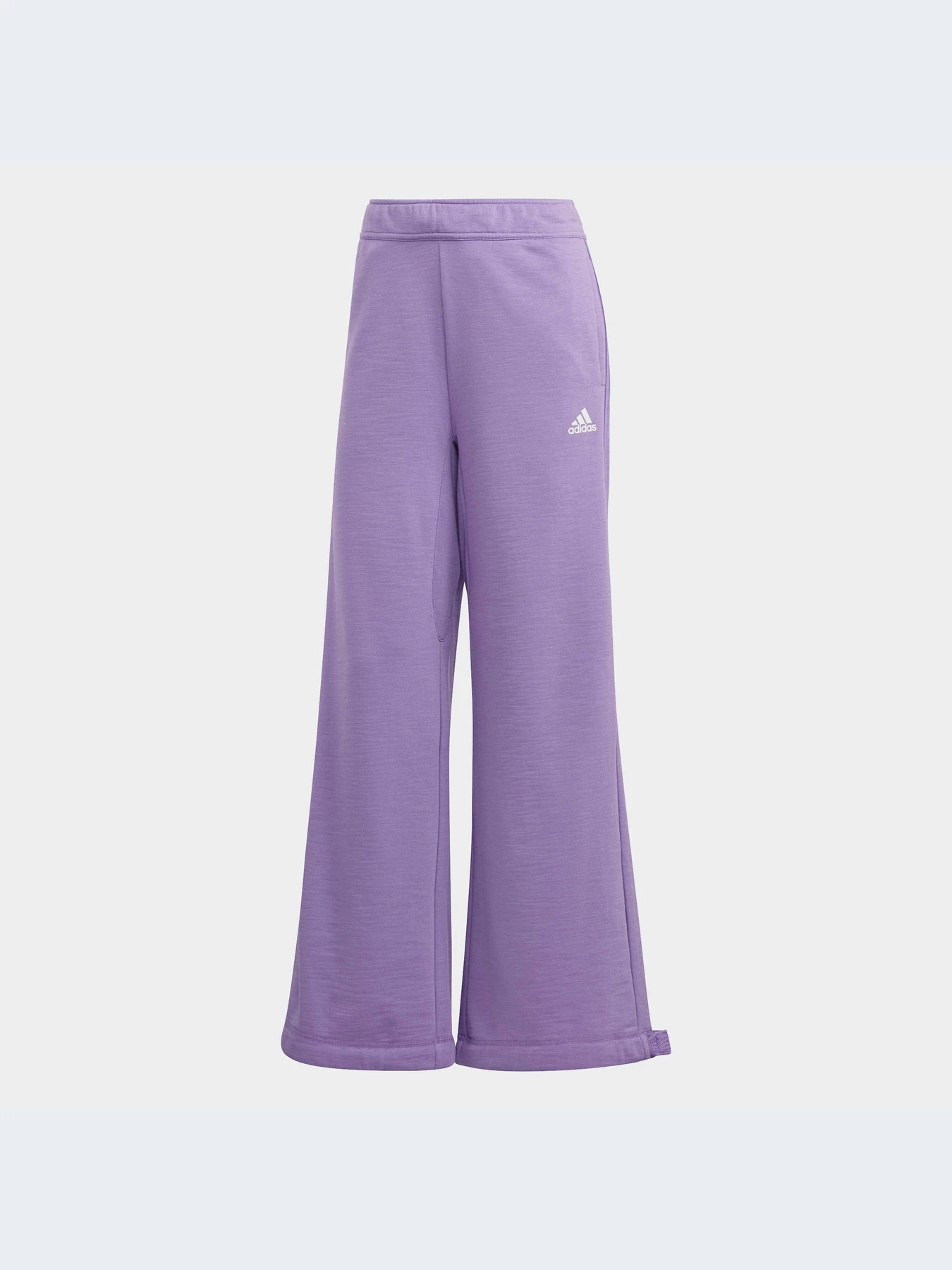 Штани Adidas модель IC6689 Фото