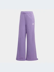 Штани Adidas модель IC6689 Фото