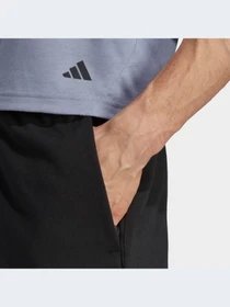 Шорты Adidas модель IC7285 Фото