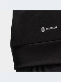 Худи и свитшоты Adidas Clima модель IB8137 Фото
