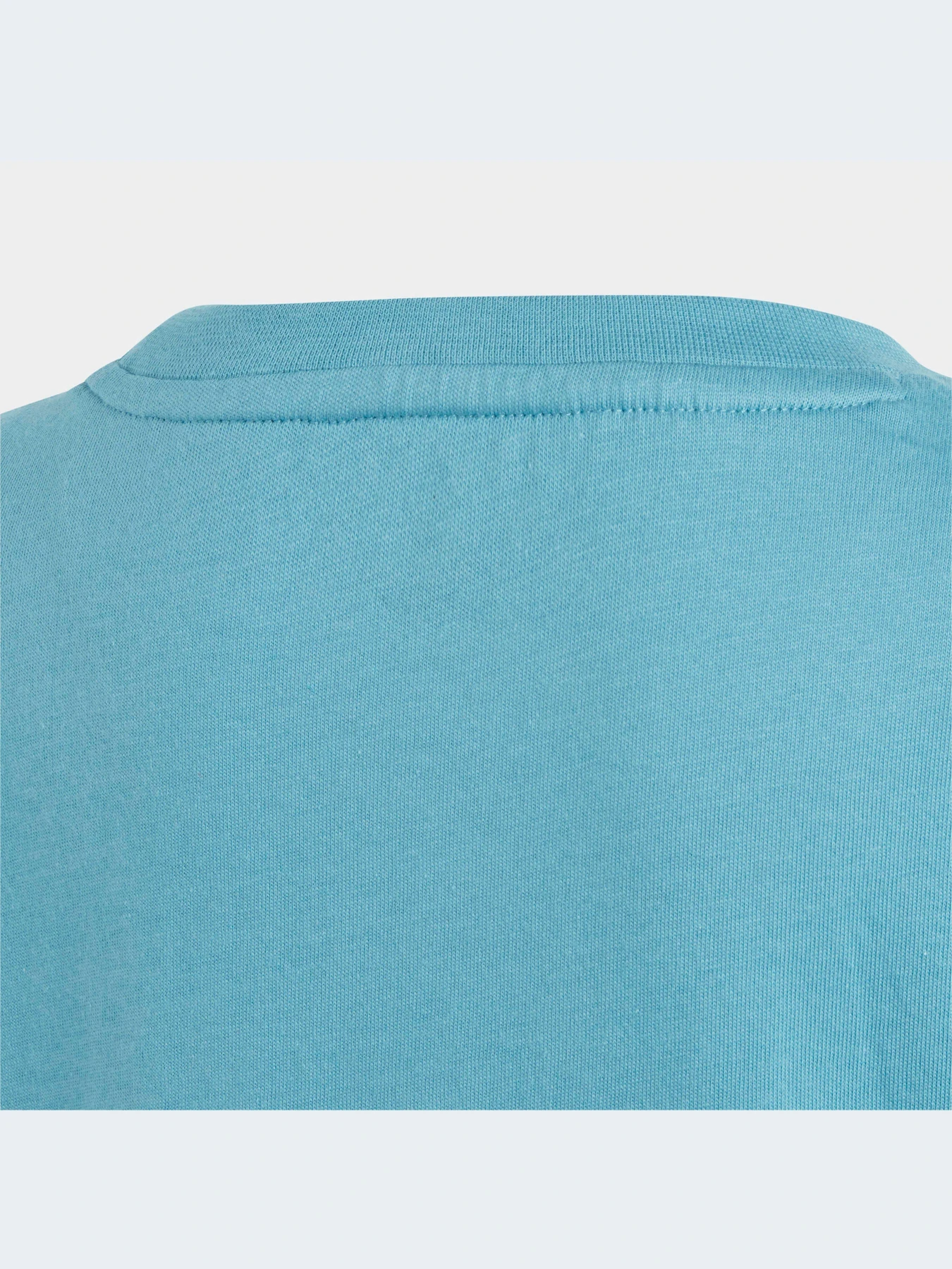 Футболки и поло Adidas Adicolor модель IC9121 Футболки и поло Adidas Adicolor модель IC9121 Фото