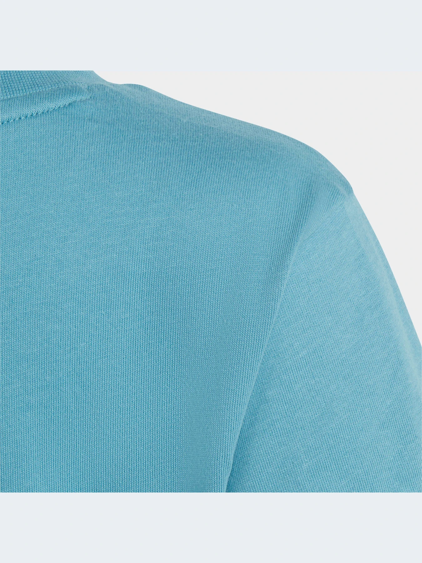 Футболки и поло Adidas Adicolor модель IC9121 Футболки и поло Adidas Adicolor модель IC9121 Фото