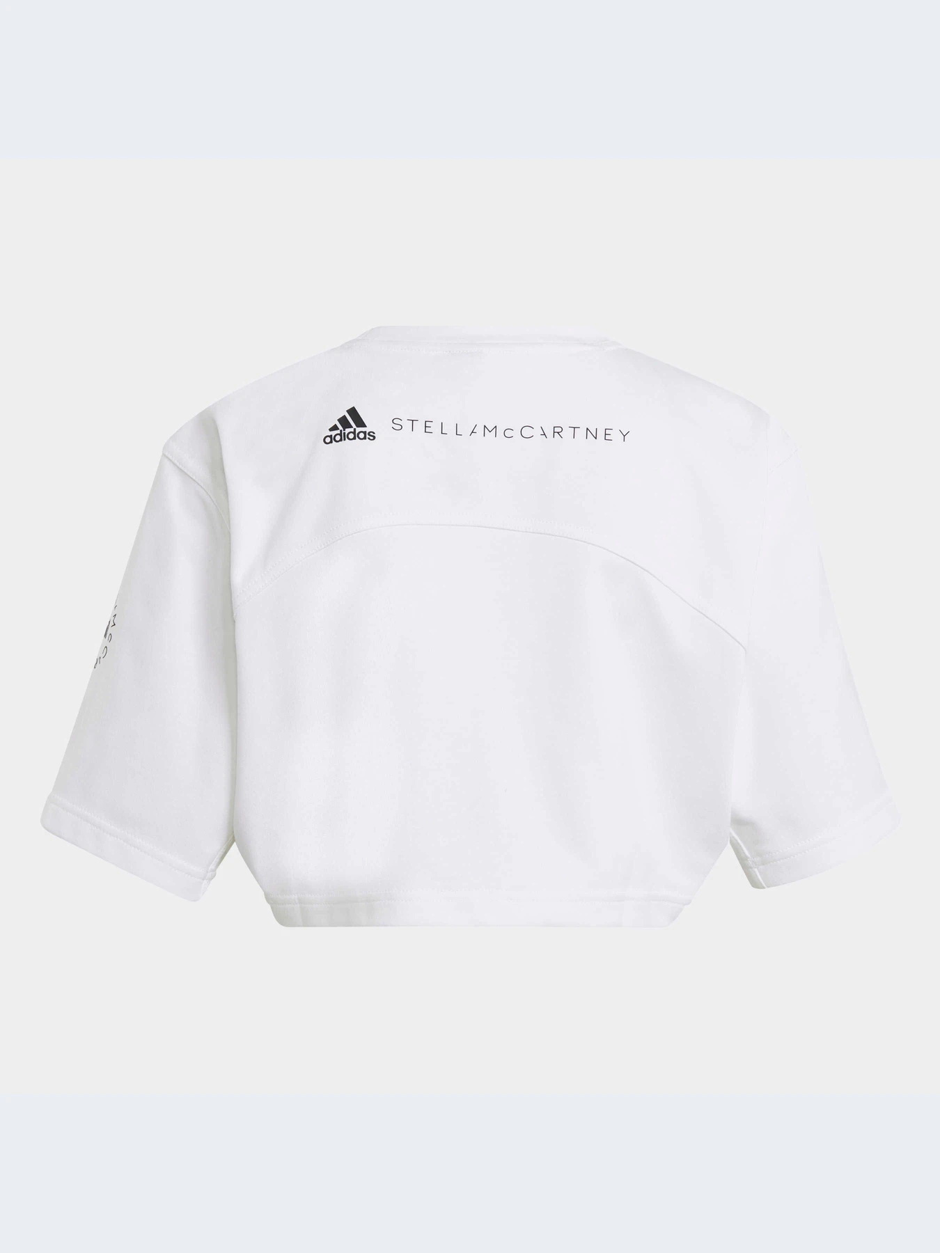 Футболки и поло Adidas модель GL7339 Фото