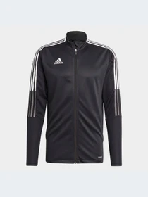 Худи и свитшоты Adidas Tiro модель GM7319 Фото