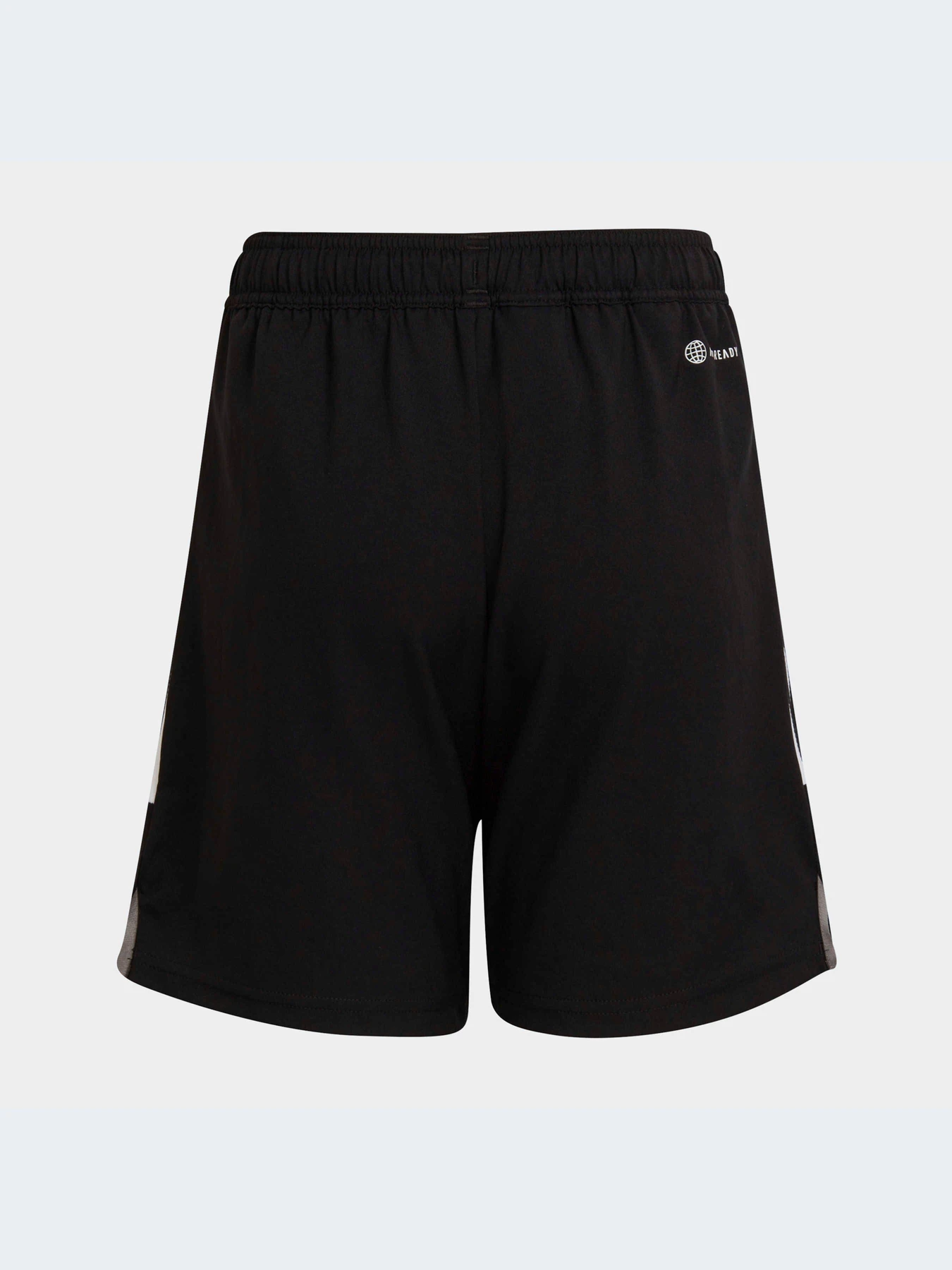 Шорты Adidas Condivo модель HA3571 Фото