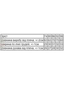 Одежда для младенцев Носи своє модель 5039-025-4-vrdan Фото