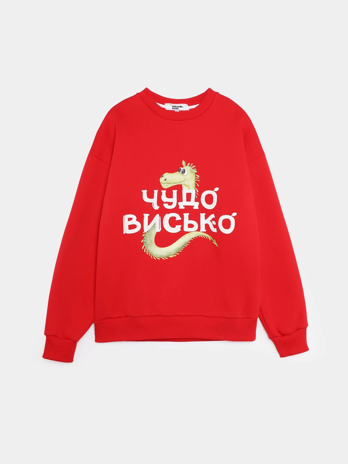Худи и свитшоты Miracle Kids модель 72-17-033 Фото