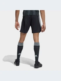 Шорты Adidas модель H38895 Фото