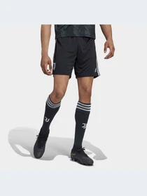 Шорты Adidas модель H38895 Фото