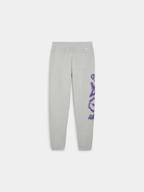 Брюки PUMA Melo x Toxic Sweatpant модель 622884 Фото