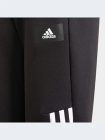 Брюки Adidas 3 Stripes модель GT9433 Фото