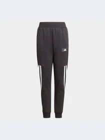 Брюки Adidas 3 Stripes модель GT9433 Фото