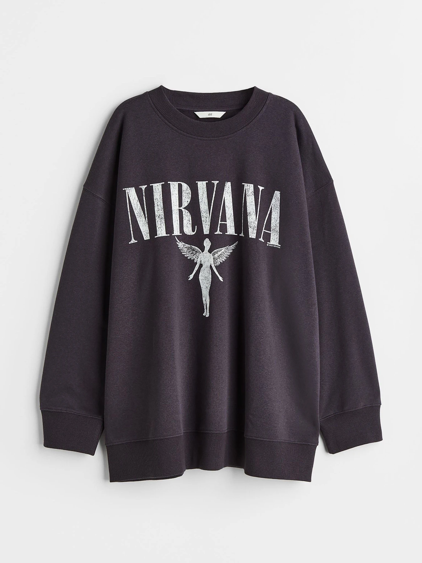 Худи и свитшоты H&M модель 70849 Фото