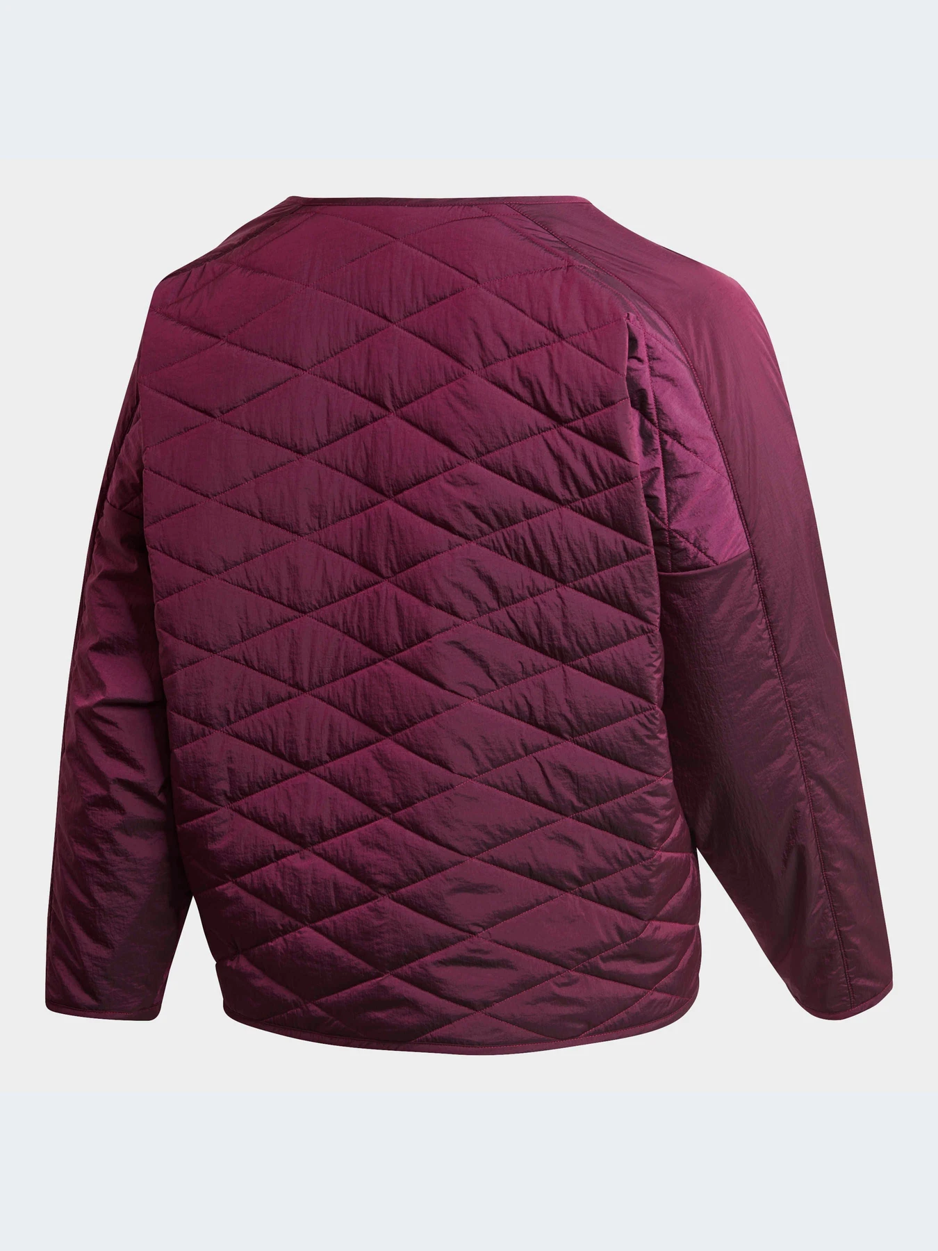Куртки та дублянки Adidas ZNE модель GH4530 Фото