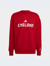 Худи и свитшоты Adidas модель HD6383 Фото