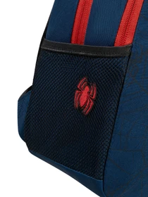 Рюкзаки Samsonite модель 40C02044 Фото