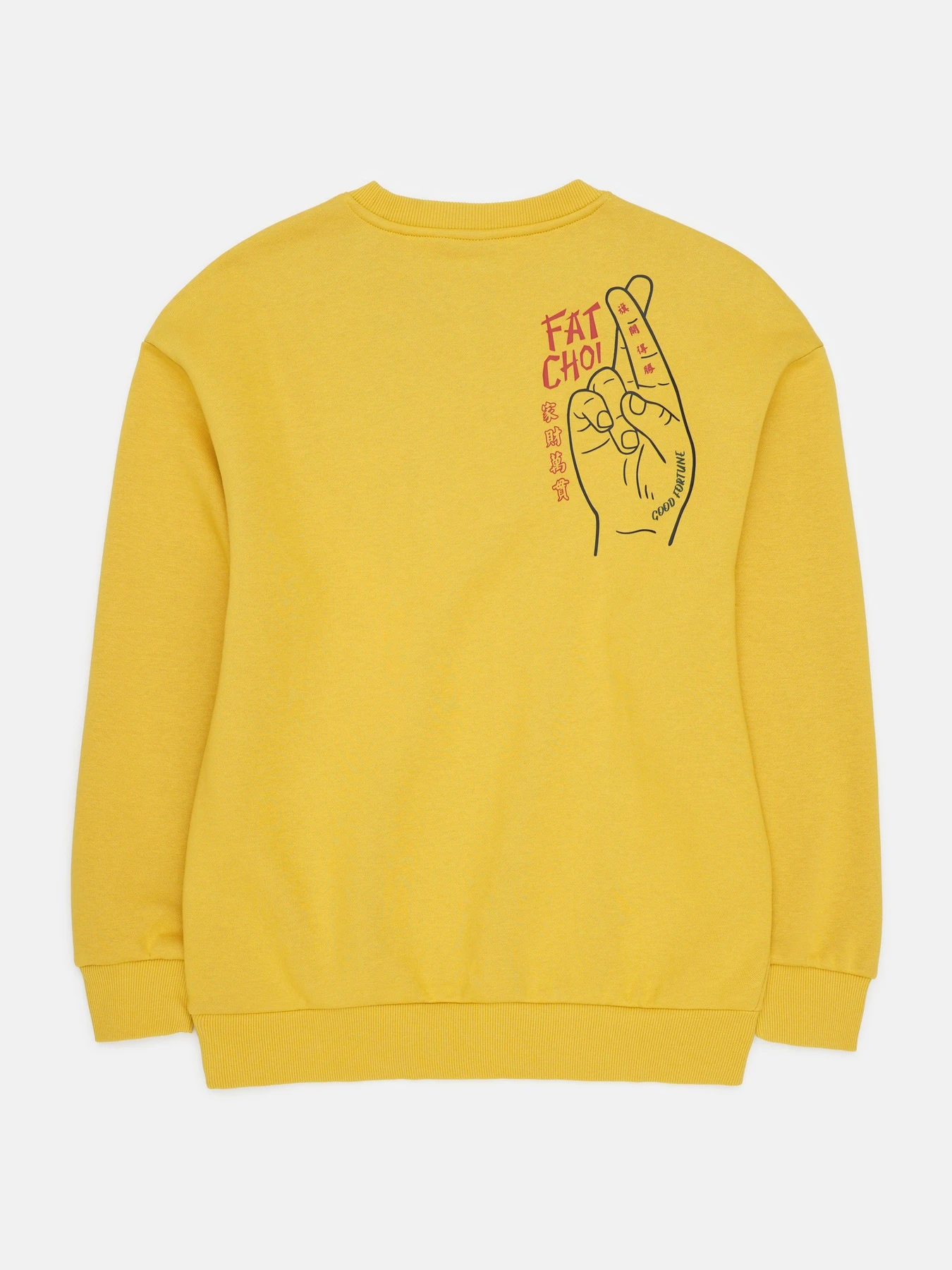 Худи и свитшоты H&M модель 70025 Фото