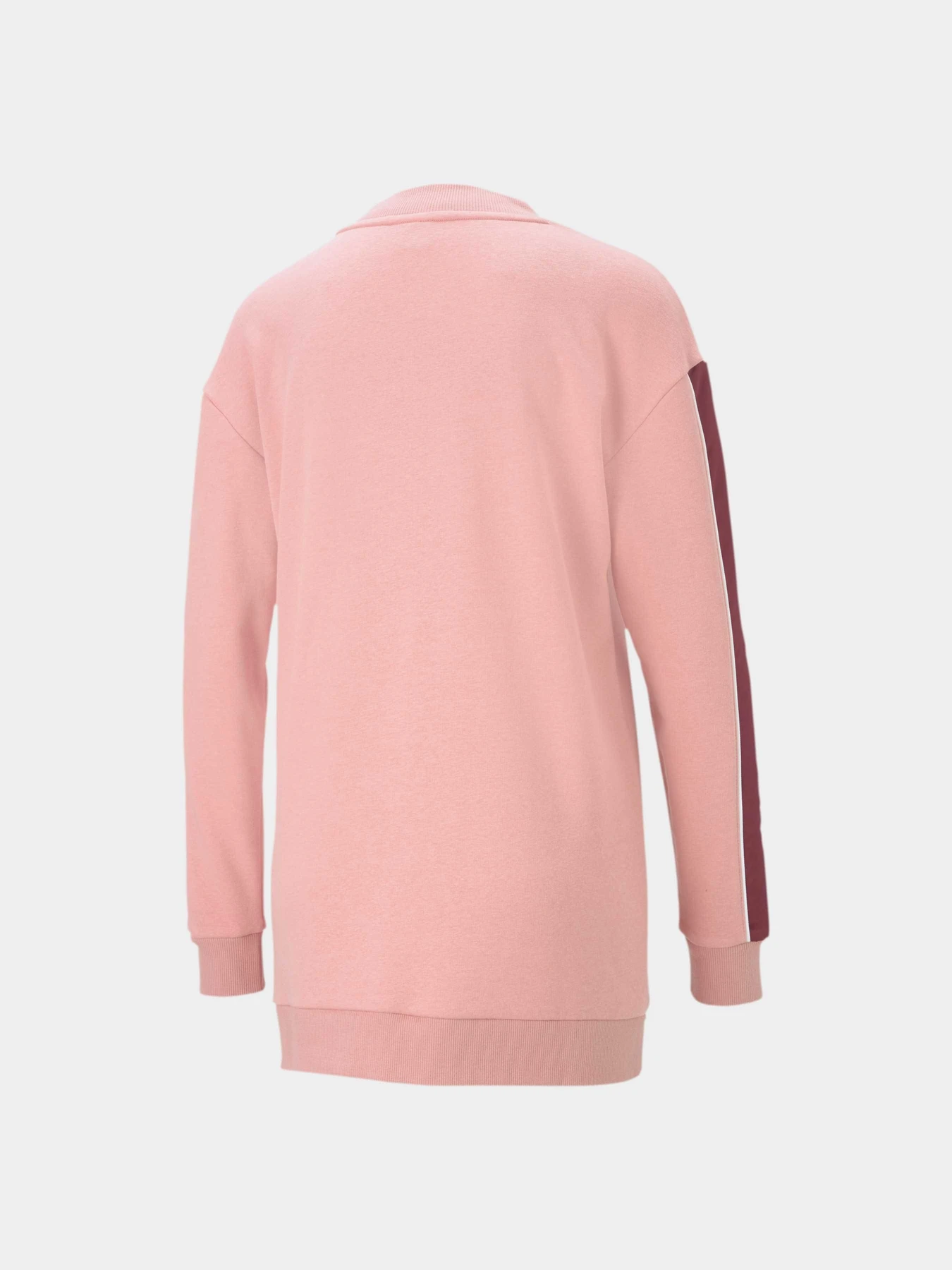Худи и свитшоты PUMA Style Cat High-neck Crew Wmn модель 587248 Фото