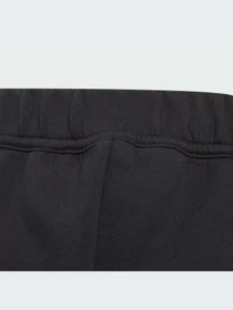 Штани Adidas ZNE модель IB3990 Фото