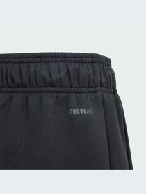 Шорты Adidas ZNE модель IN6963 Фото
