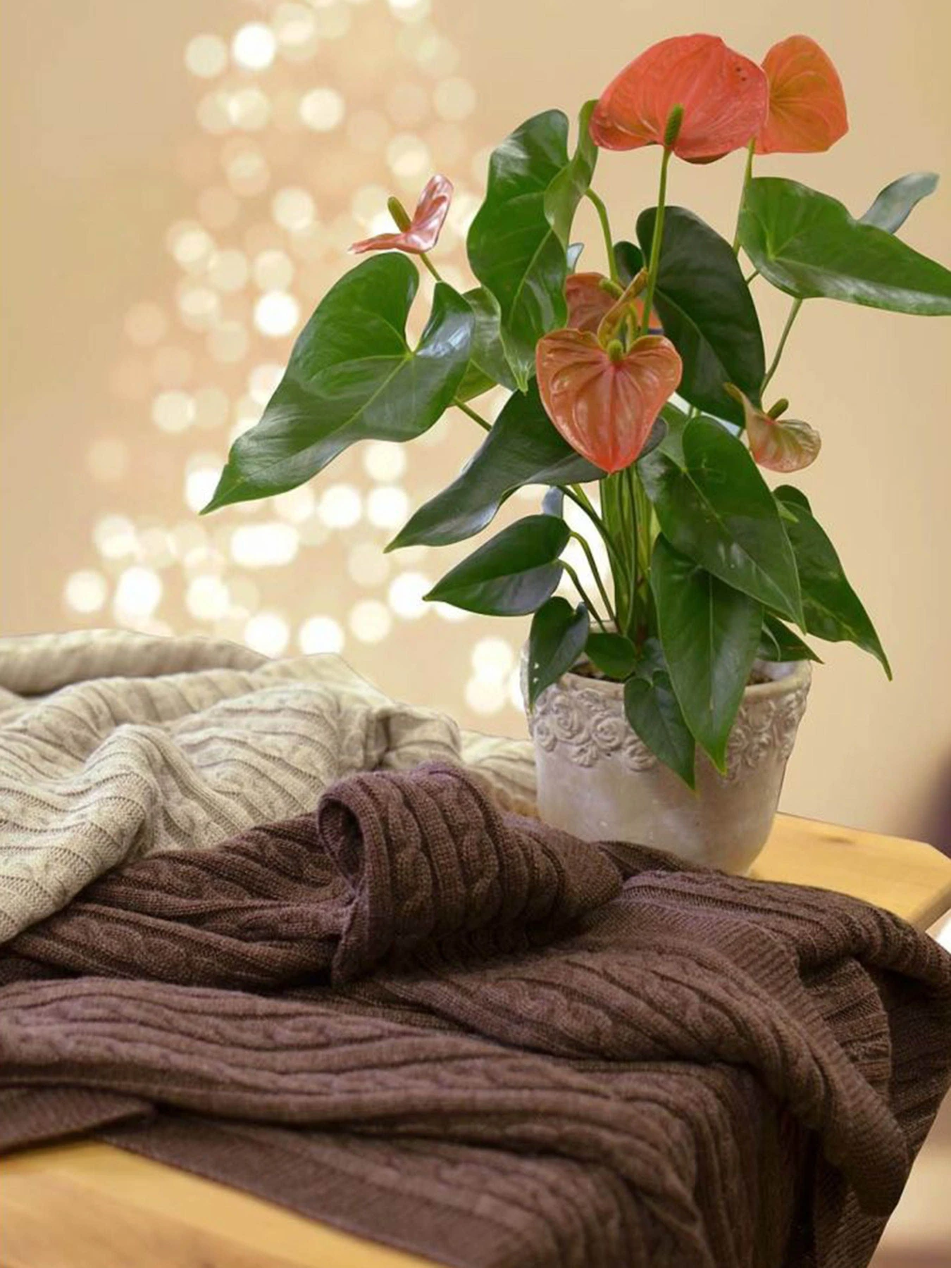 Плед на кровать SOFT косы Латте Прованс модель 323280 Плед на кровать SOFT косы Латте Прованс модель 323280 Фото