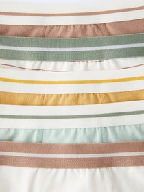 Нижнее белье ZARA модель 70937 Фото