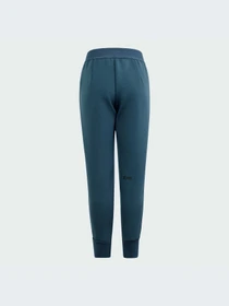 Брюки Adidas ZNE модель IM8397 Фото